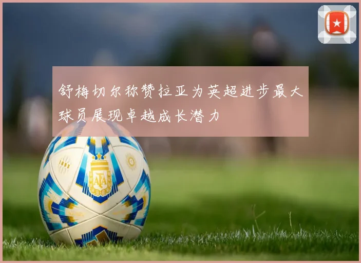 舒梅切尔称赞拉亚为英超进步最大球员展现卓越成长潜力