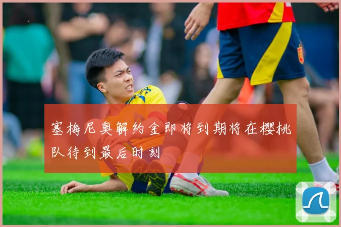 塞梅尼奥解约金即将到期将在樱桃队待到最后时刻