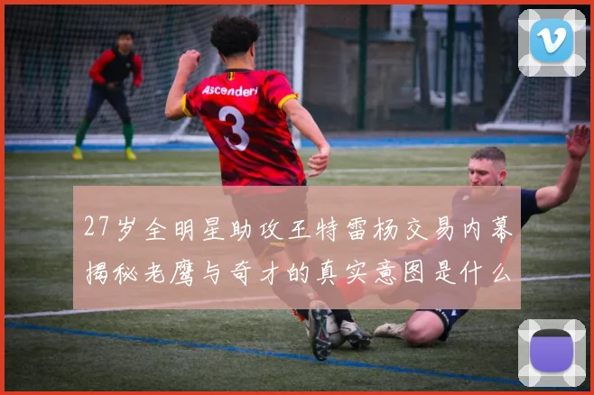 27岁全明星助攻王特雷杨交易内幕揭秘老鹰与奇才的真实意图是什么
